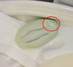 Soap with teeth marks